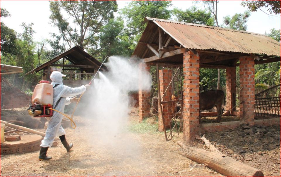 Tháng tổng vệ sinh, khử trùng, tiêu độc môi trường đợt 2 năm 2024 tại Đắk Lắk